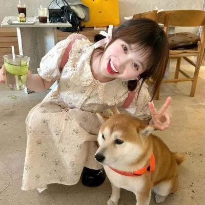 被解放的蠢朋克